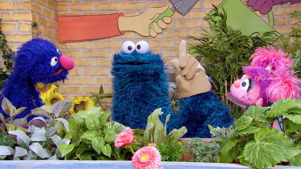 Sesame Street's Lost And Found