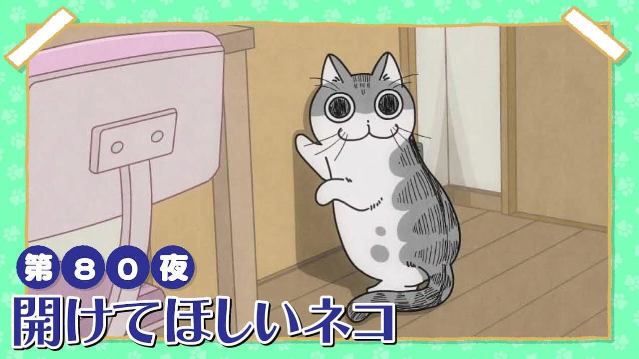 Night 80: The Cat Who Wants the Door Opened