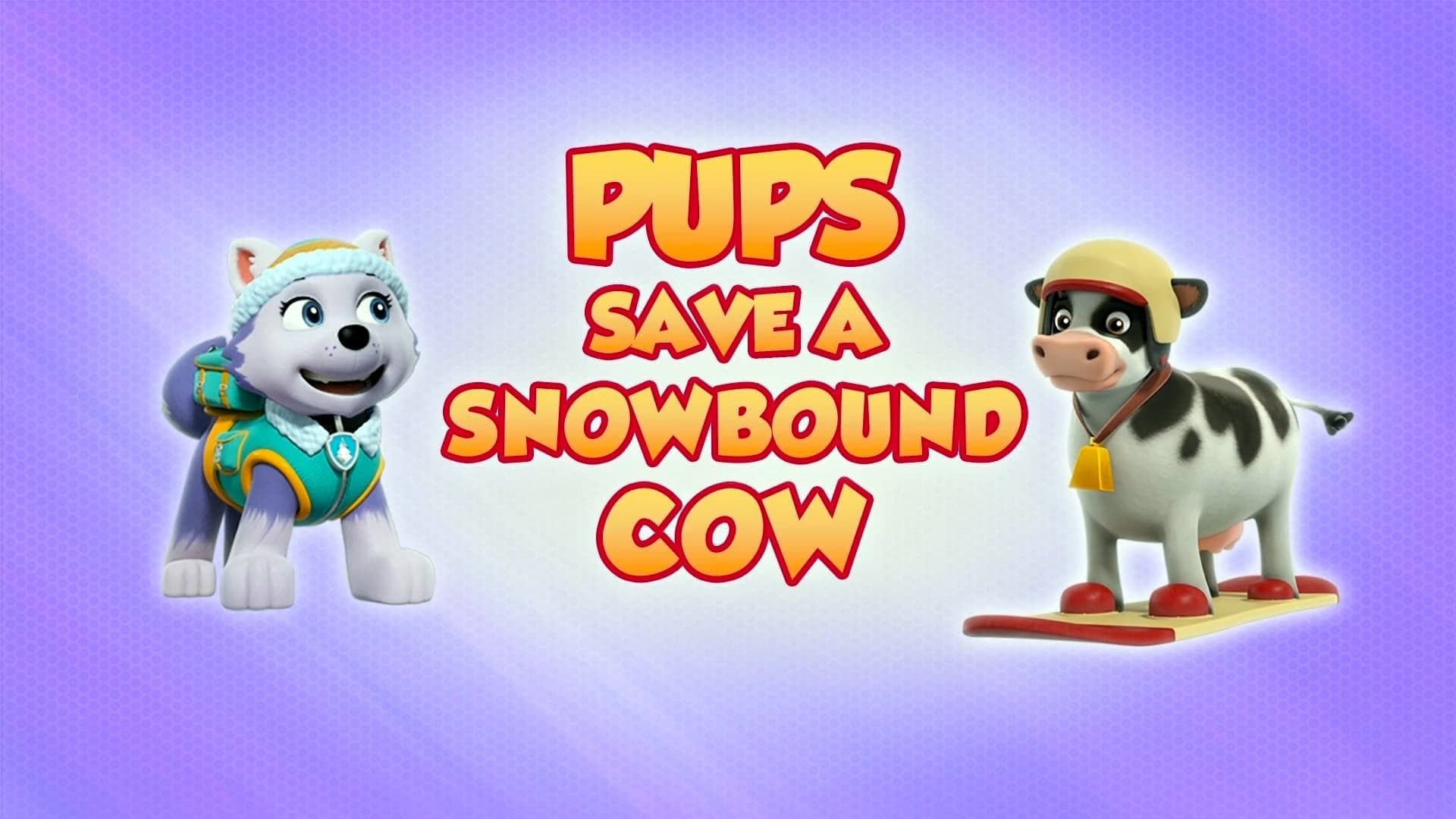 Pups Save a Snowbound Cow