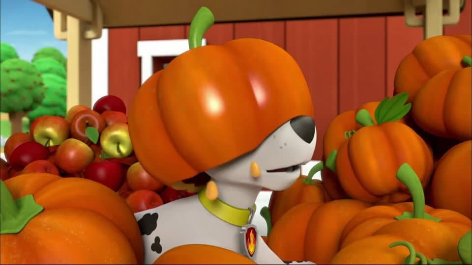 Pups Fall Festival