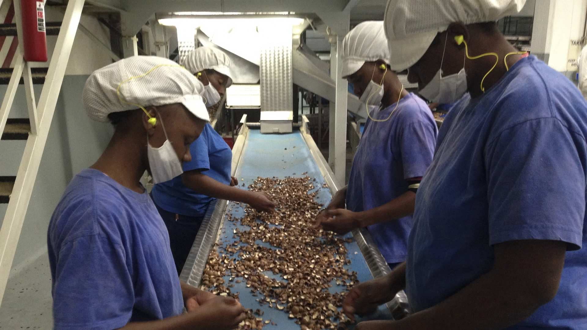 Macadamia Nuts, Tap Water, Crowd Barriers