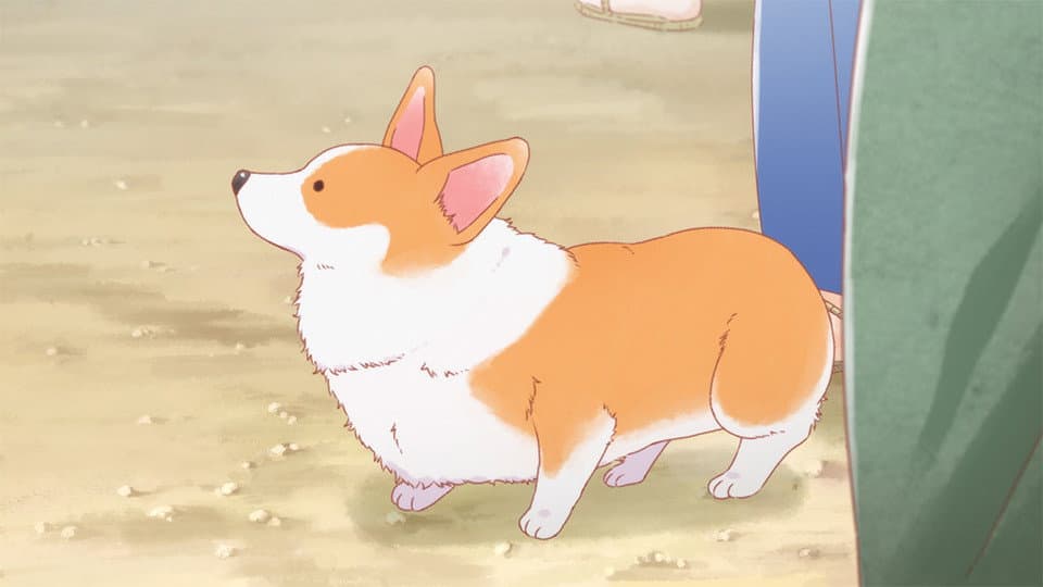 Episode 9