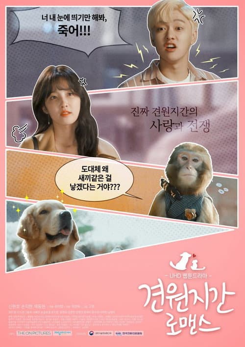 Monkey and Dog Romance
