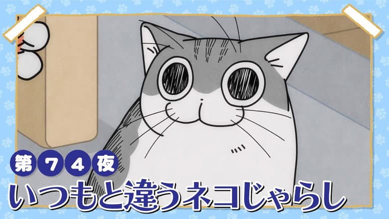 Night 74: A Different Kind of Cat Teaser