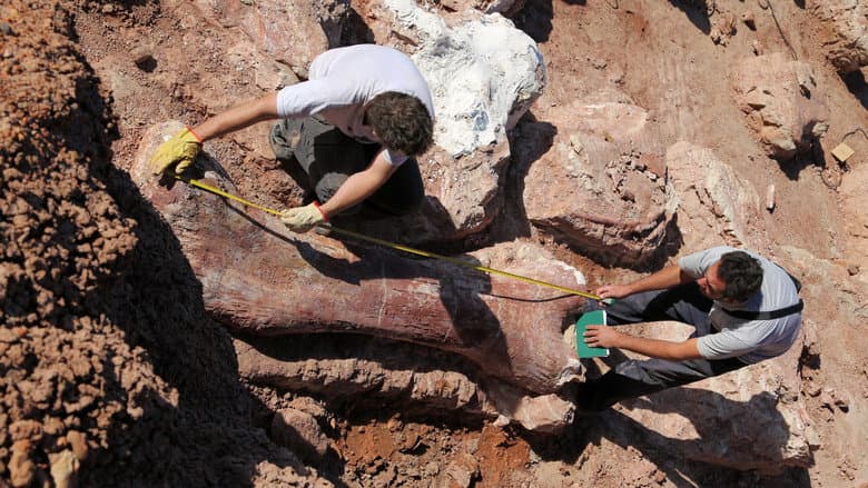 Raising the Dinosaur Giant