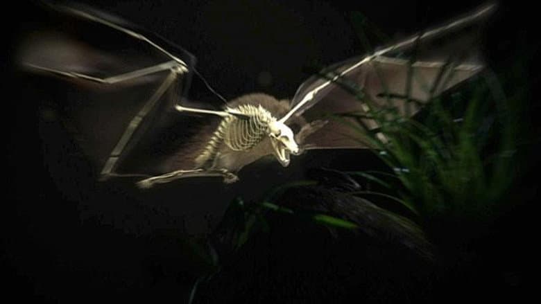Moment of Impact: Jungle