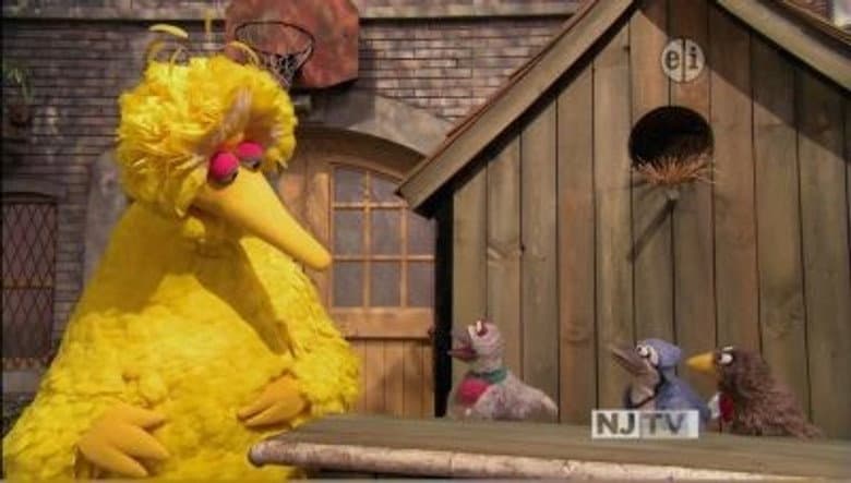 The Good Birds Club