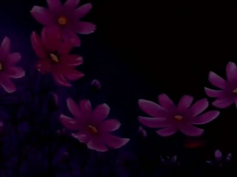 The Miracle Flower Key