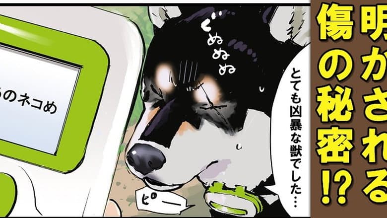 Washed Up / Drift-Penguin / Lie Detector: Black Shiba Sequel