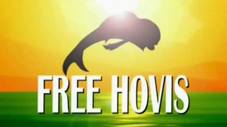 Free Hovis