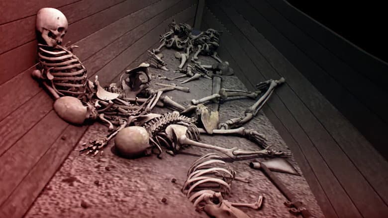 Vikings Unearthed