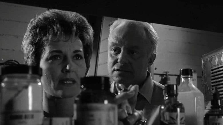 The Shelter