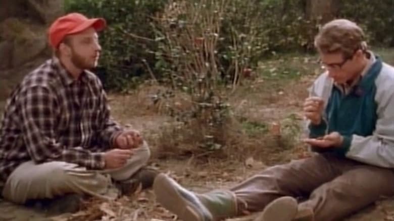 Camping 2000