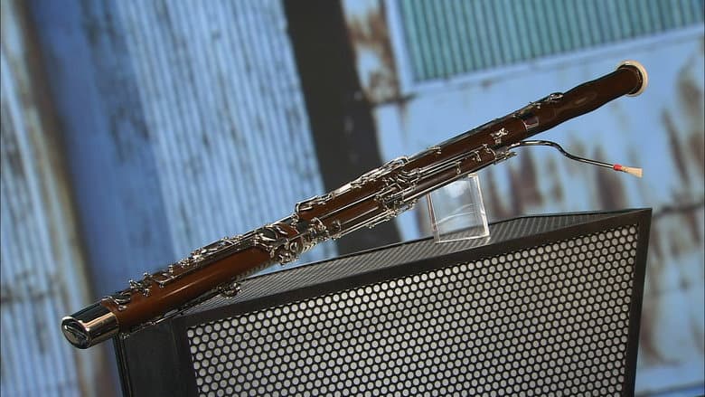 Thai Barbecues, Diving Masks and Fins, Bassoons