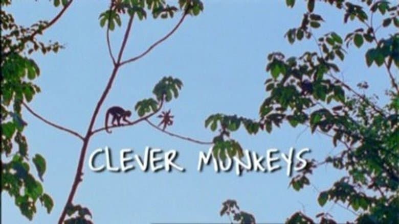 Clever Monkeys