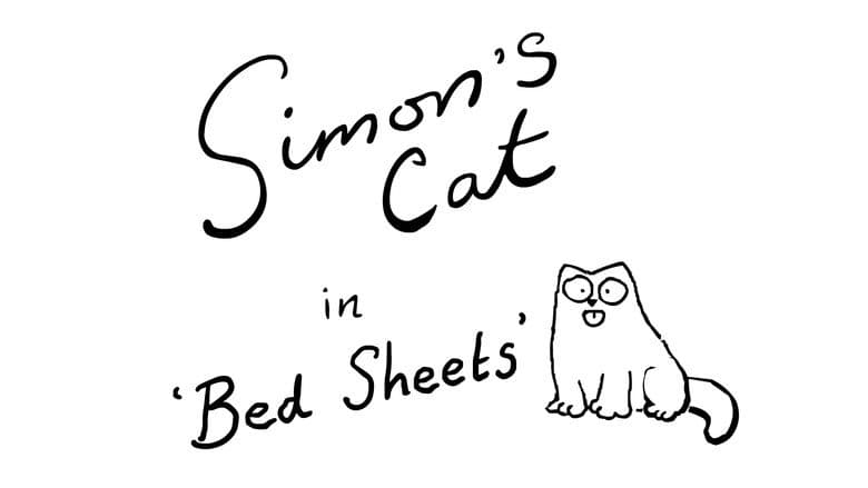 Bed Sheets