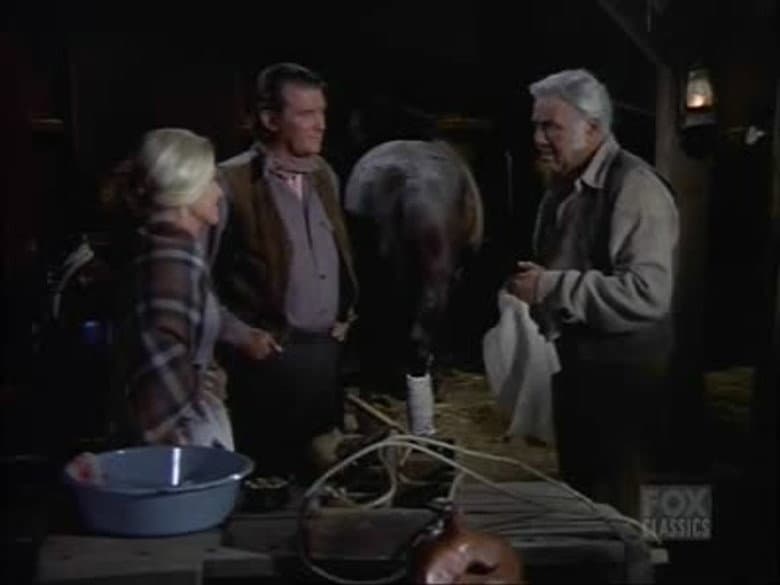 The Saddle Stiff