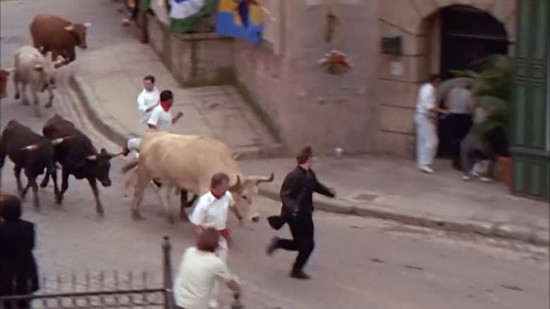 Caroline and the Secret Bullfighter (2)