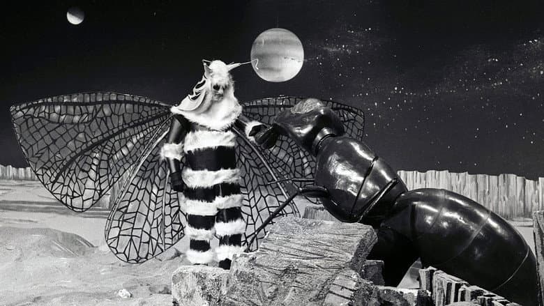 Invasion