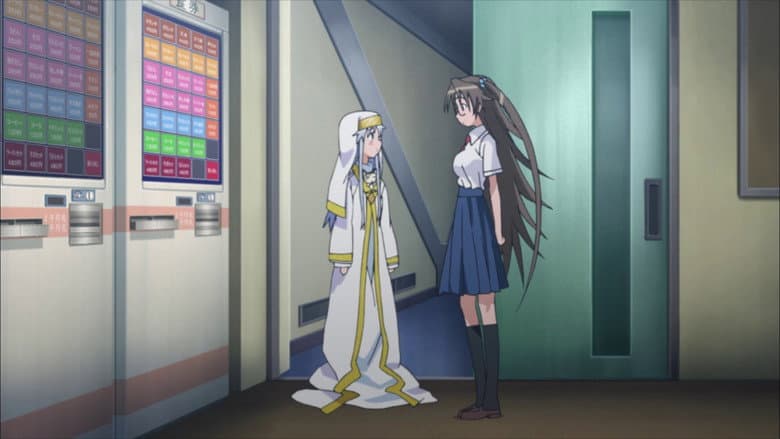 Counter Stop (Identity Unknown)
