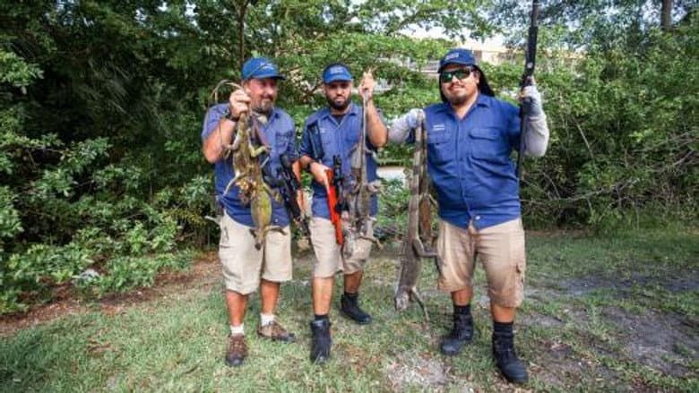 Combat Surgeon / Iguana Hunter