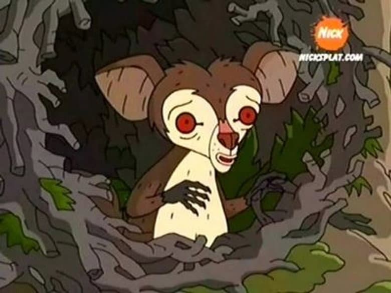 Luck Be an Aye-Aye