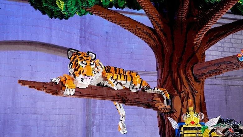 Out on a Limb (Elimination)