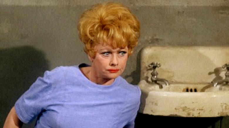 Lucy Meets the Law