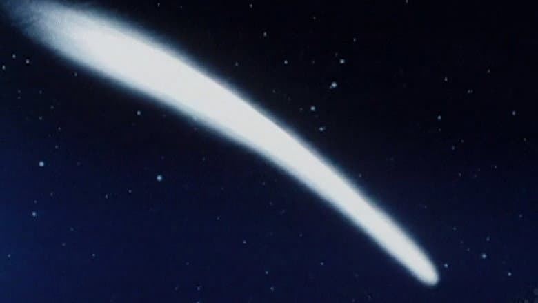 The Harley's Tail