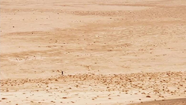 Desert
