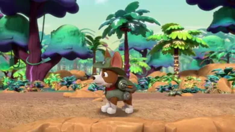 Jungle Pups: Pups Find a Hidden Jungle