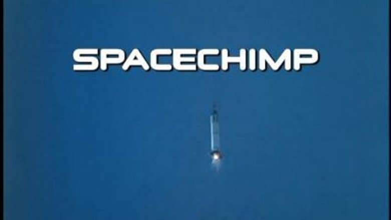 Spacechimp