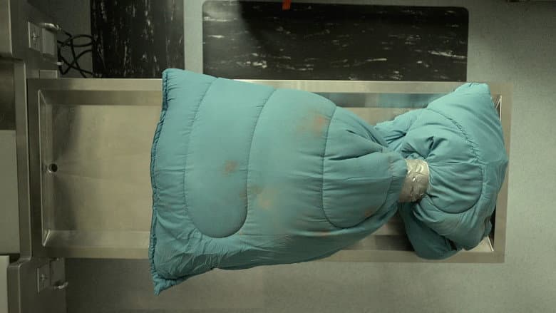 Body in Bags