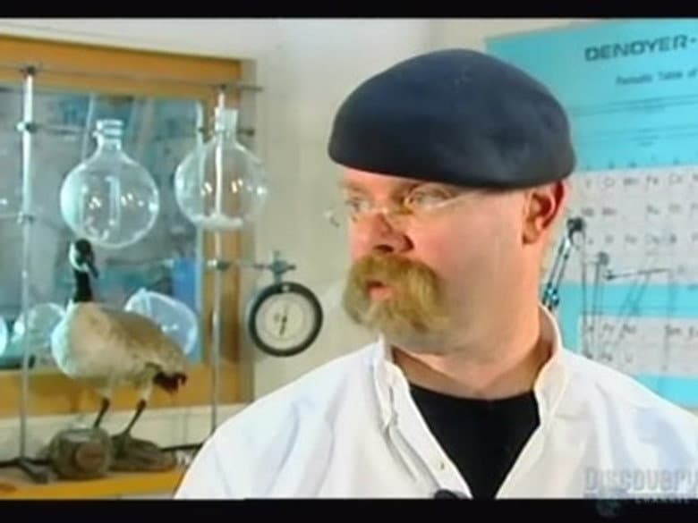 Scuba Diver and Car Capers