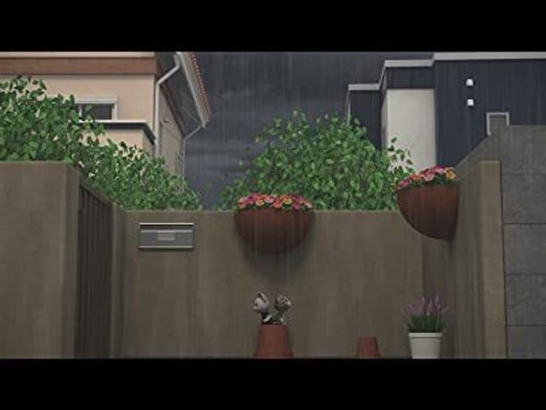 Chi Takes Cover From The Rain