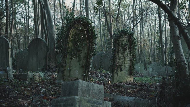 Mysterious Urban Legends