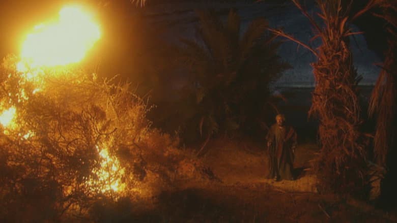 The Amazing Events of the Book of Exodus