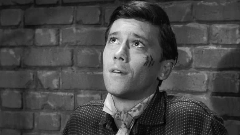 The Prisoner