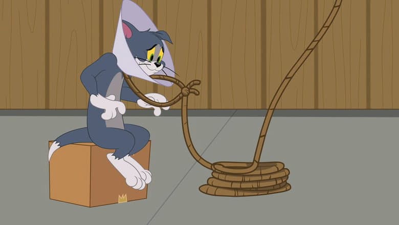 Funnel Face