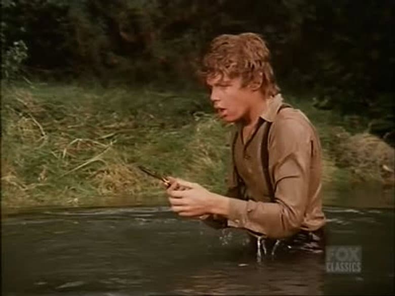 The Gold-Plated Rifle
