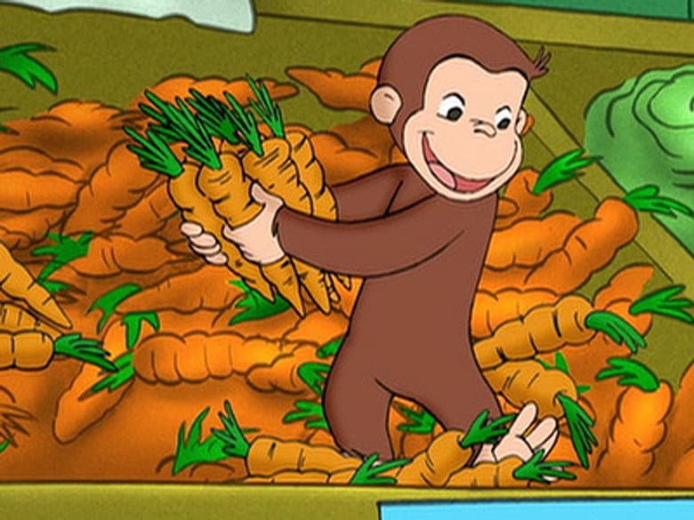 Cooking With Monkey