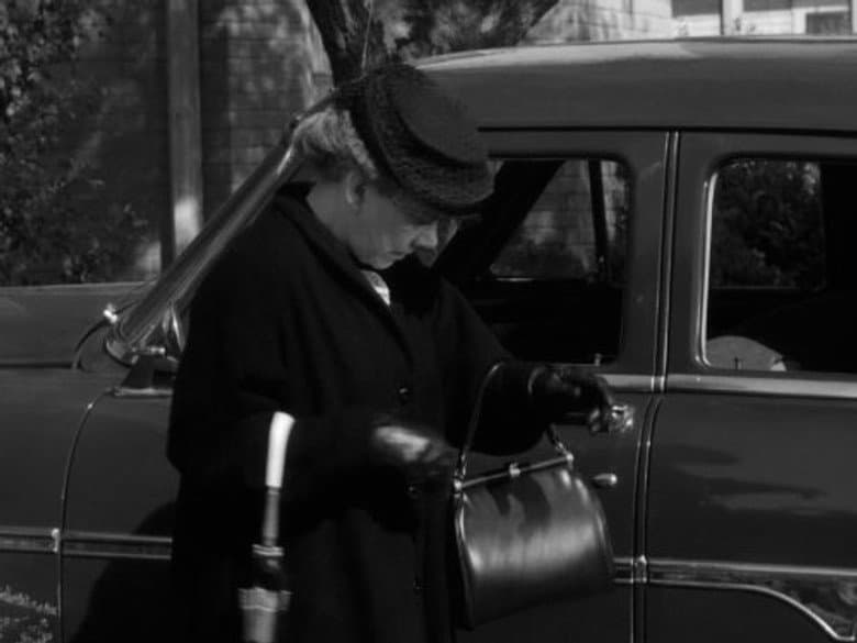 Barney's First Car
