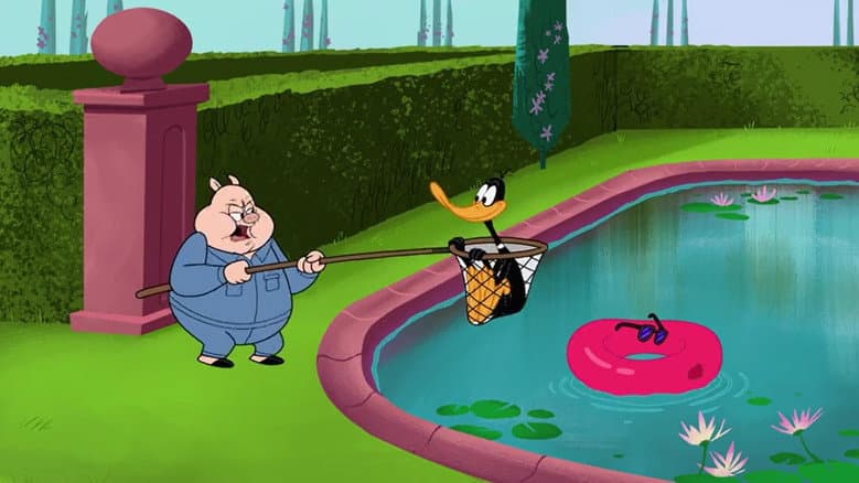 Point Duck Percent