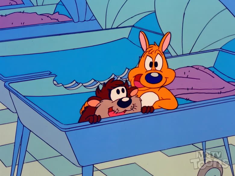Friends for Strife
