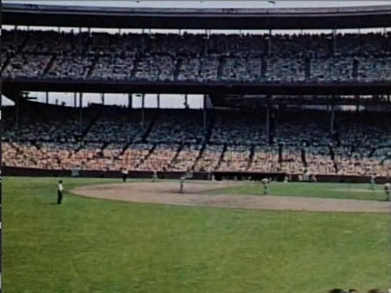 Baseball Parks