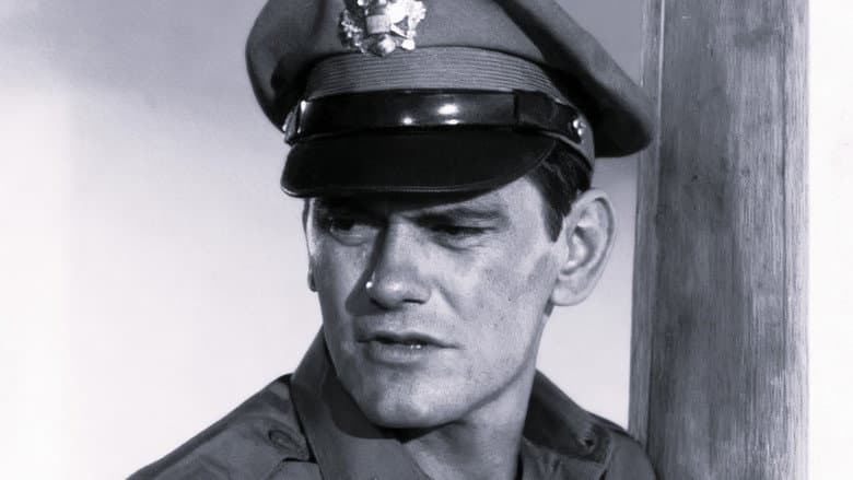 What a Shining Young Man Was Our Gallant Lieutenant