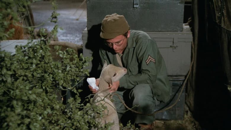 Private Charles Lamb