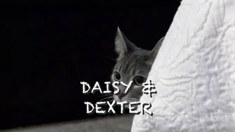 Stalking Miss Daisy