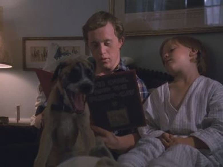 The Baby-Sitter