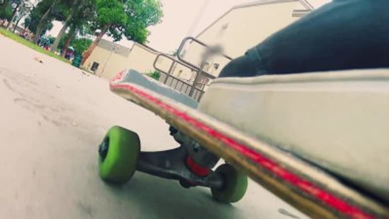 The Skateboarder